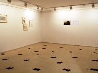 isidora1a