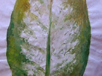 001b