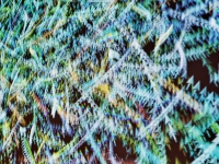 20a_0747