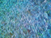 21a_0748